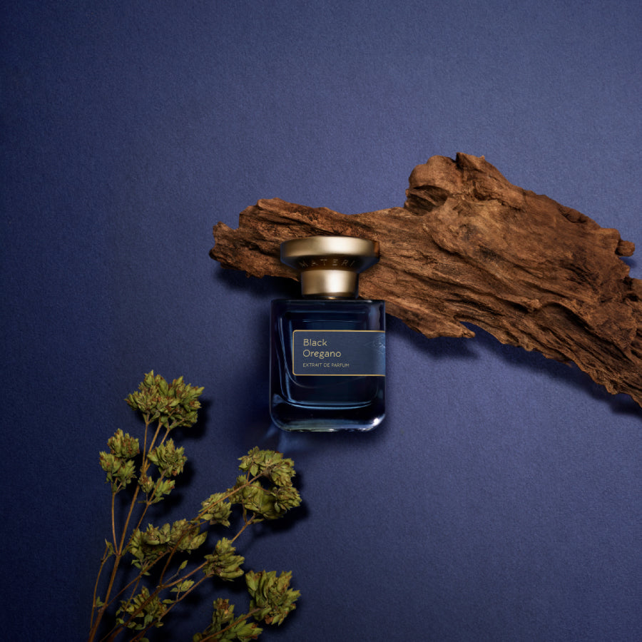Black Oregano（ブラック オレガノ）