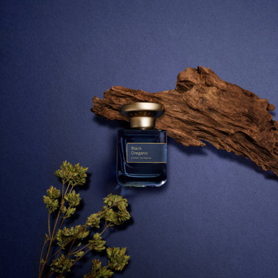 Black Oregano（ブラック オレガノ）