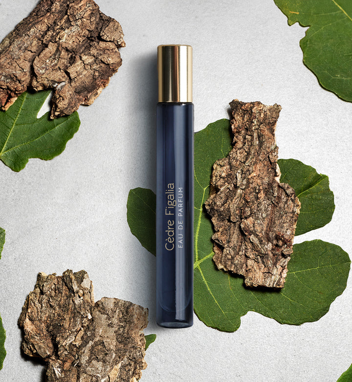Cèdre Figalia（セードル フィガリア） – ART EAU